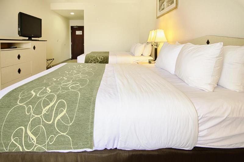 Comfort Inn & Suites Airport Convention Center Reno Eksteriør billede